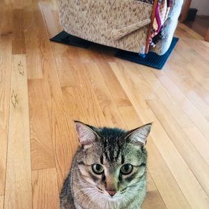 Meet your Posher, Sandra